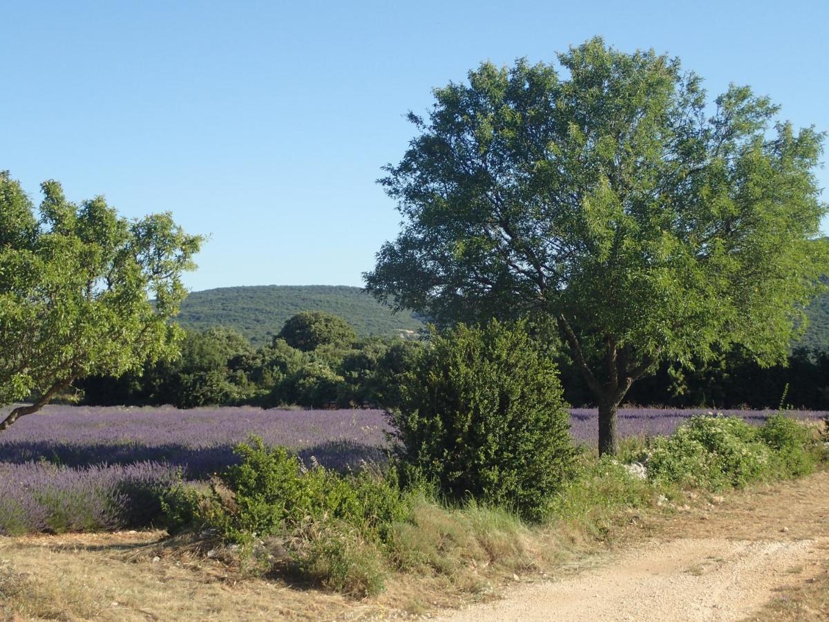 Le Rocher De Sampzon 외부 사진